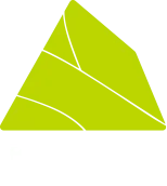 BA CHANG STUDIO - บ๊ะจ่าง Creative Studio